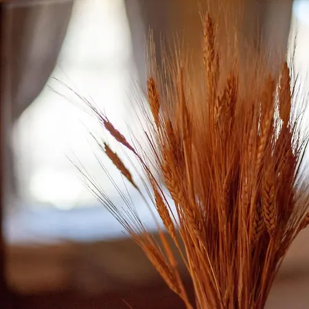 Peace Stone House 3* Göreme