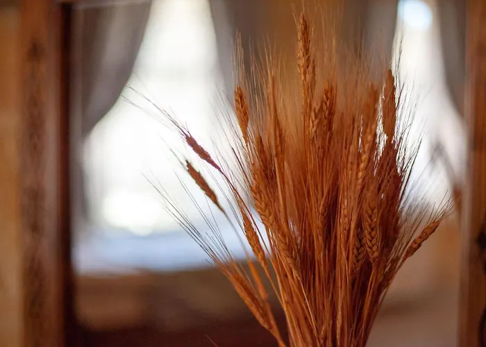 Peace Stone House 3* Göreme